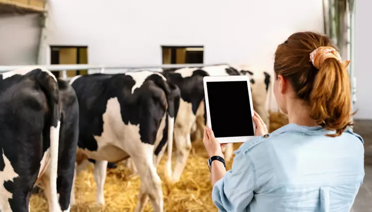 Outils numériques : des projets prometteurs en santé animale à moyen terme
