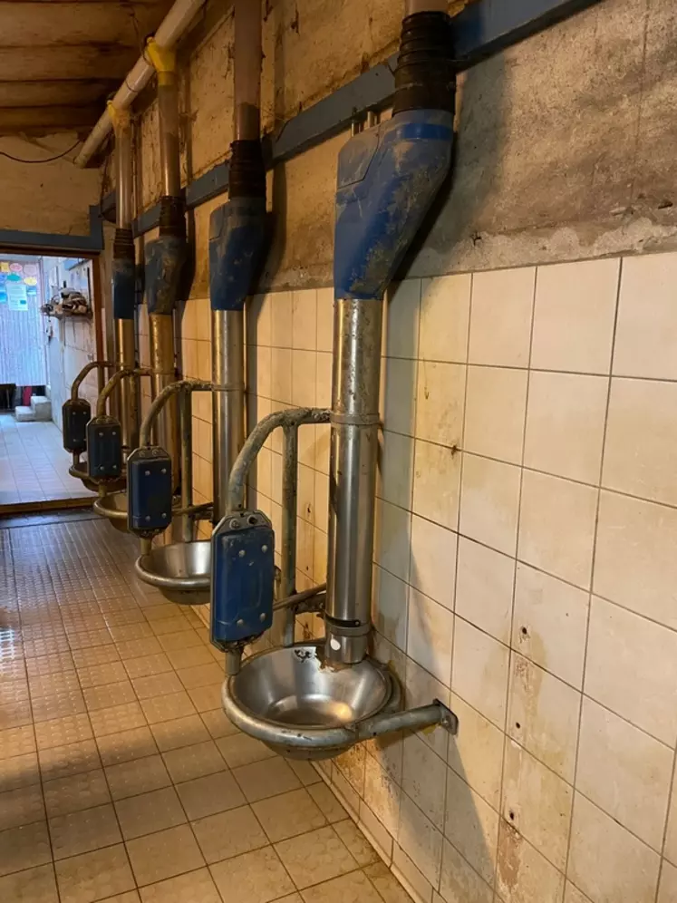 alimentateurs en salle de traite 