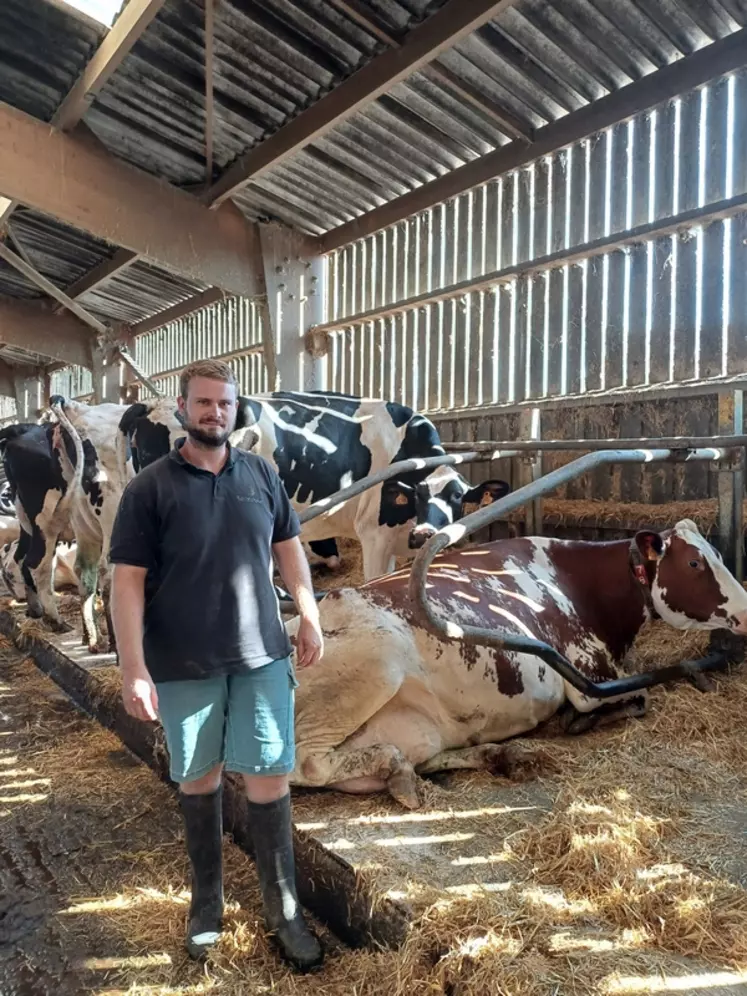 Alexandre Berruet, du Gaec fontaine Lintry : « Même en saison de pâturage, les vaches reçoivent un peu de la ration hivernale. »