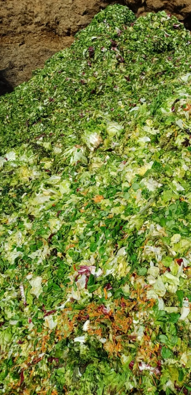 La salade, amenée par l'usine Les Crudettes, est très appétente. 