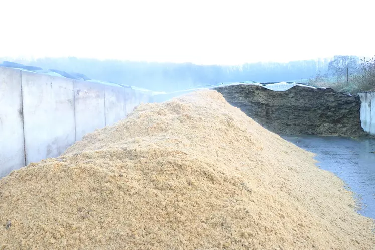 tas de corn gluten feed
