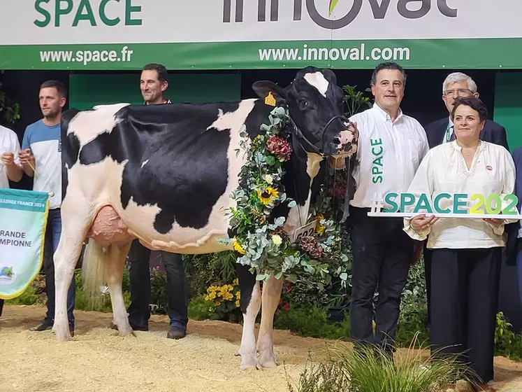 Concours : les grandes championnes du space 2024 en images