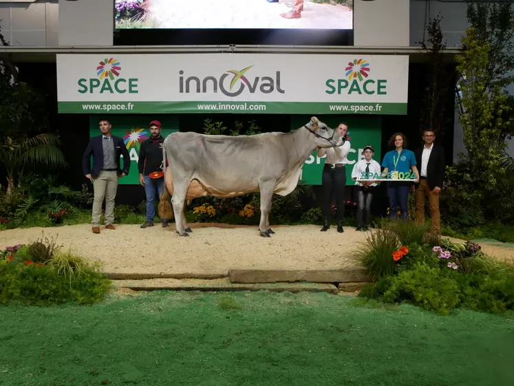 grande championne space 2024 brun