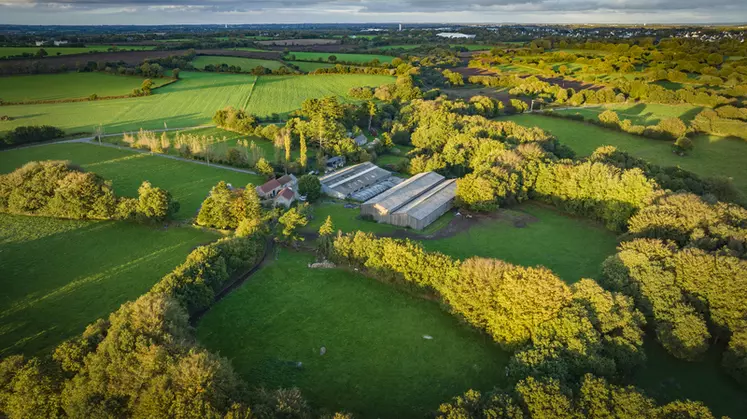 Pour les deux sites, Guipavas (en photo) et Plabennec, la densité de haie atteint 45 m/ha.