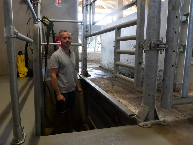 Fosse imitant une salle de traite pour soigner des vaches laitières en système robotisé.