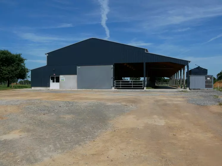 bâtiment vaches laitières ouvert 
