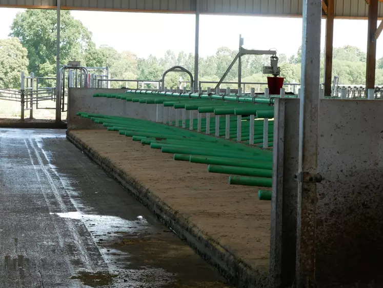 logettes souples pour vaches laitières