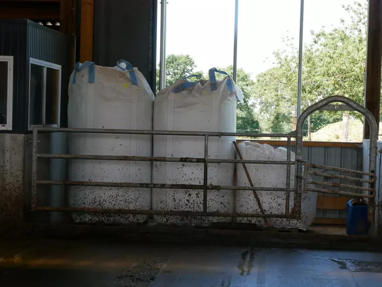 Big bag stockage de farine de paille pour logettes de vaches laitières. 