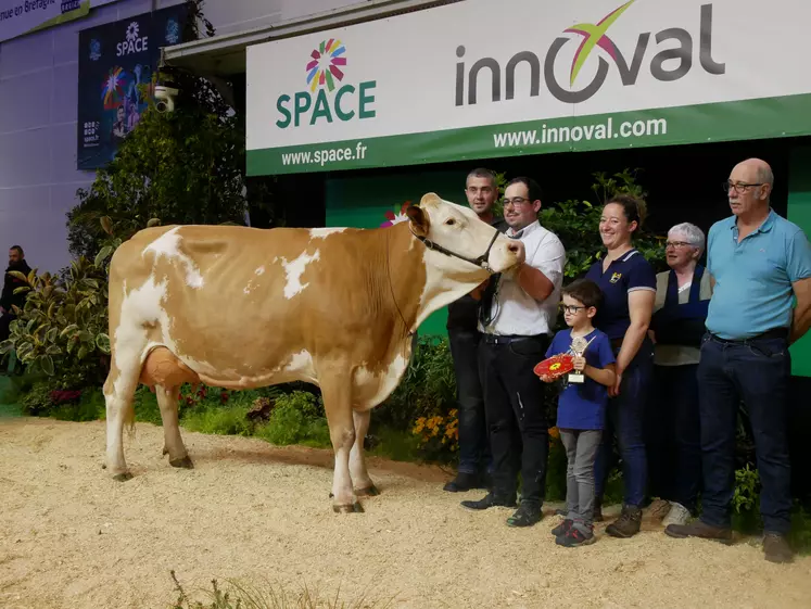 Précieuse, grande championne et de meilleure mamelle Simmental au Space 2024 venant du Gaec Breizh Simm dans le Morbihan.