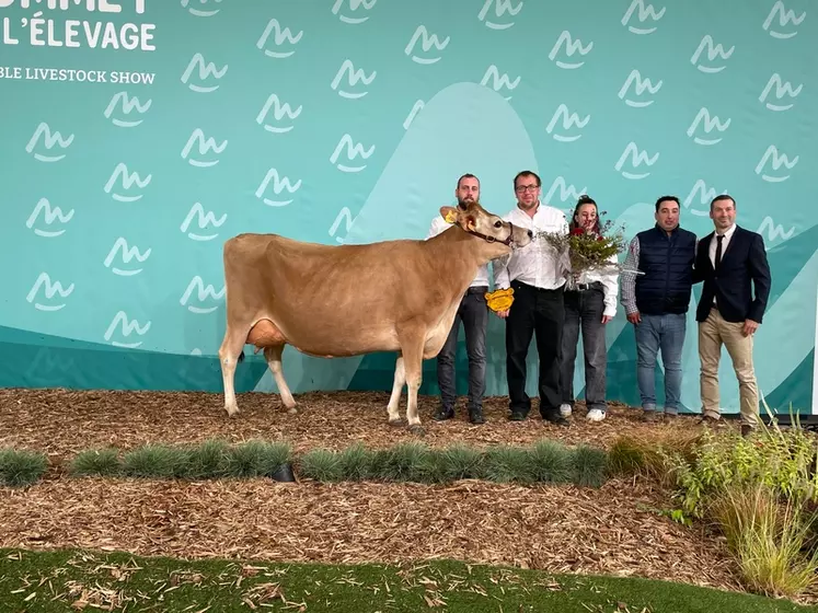 Sacrée grande championne jersiaise, championne jeune et meilleure mamelle jeune, RG Panama, au Gaec de Rosen dans le Bas-Rhin, a produit 4 077 kg de lait à 51,8 de TB et ...