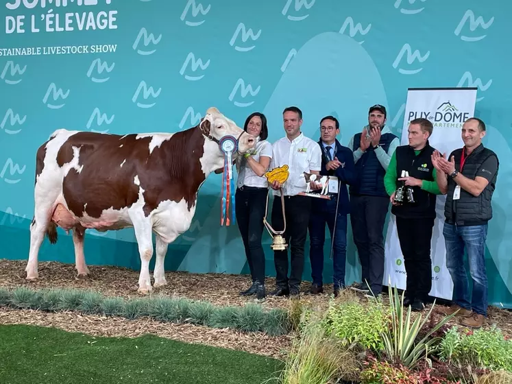 En quatrième lactation, Obergine a produit 11 366 kg de lait à 38,5 de TB et 36,1 de TA.  « Cette vache très harmonieuse illustre à merveille le prototype de la vache ...