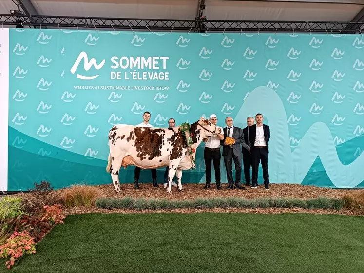 Nougat, en cours de 4e lactation (Jesper x Unnoel), à l’EARL des Rivières en Loire-Atlantique, a remporté les titres de championne adulte et de grande championne ...