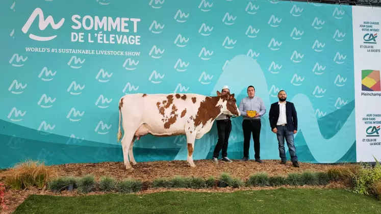 Grande championne, meilleure mamelle de la 2e section et meilleure mamelle du concours pie rouge du Sommet de l'élevage 2024 : Orangina, au Gaec Faugeras dans le ...