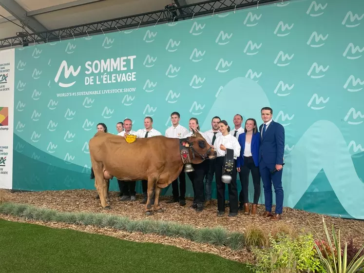 Pivoine (Mallow/Icone), au Gaec de Couterloz en Savoie, sacrée championne du concours tarentaise du Sommet de l'élevage 2024