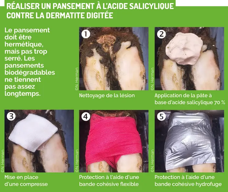 <em class="placeholder">Les alternatives contre la Mortellaro</em>