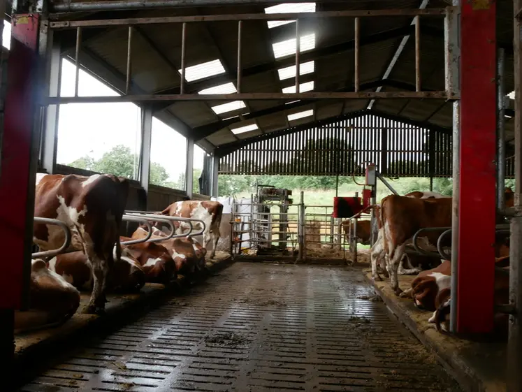 <em class="placeholder">Petit circuit de la stabulation pour les vaches en retard.</em>
