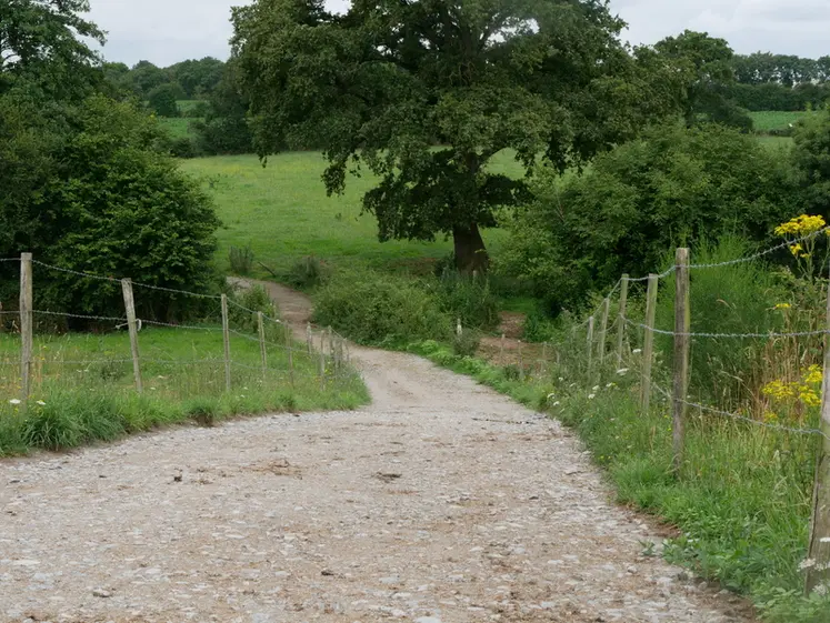 <em class="placeholder">Chemin d&#039;accès aux pâtures.</em>