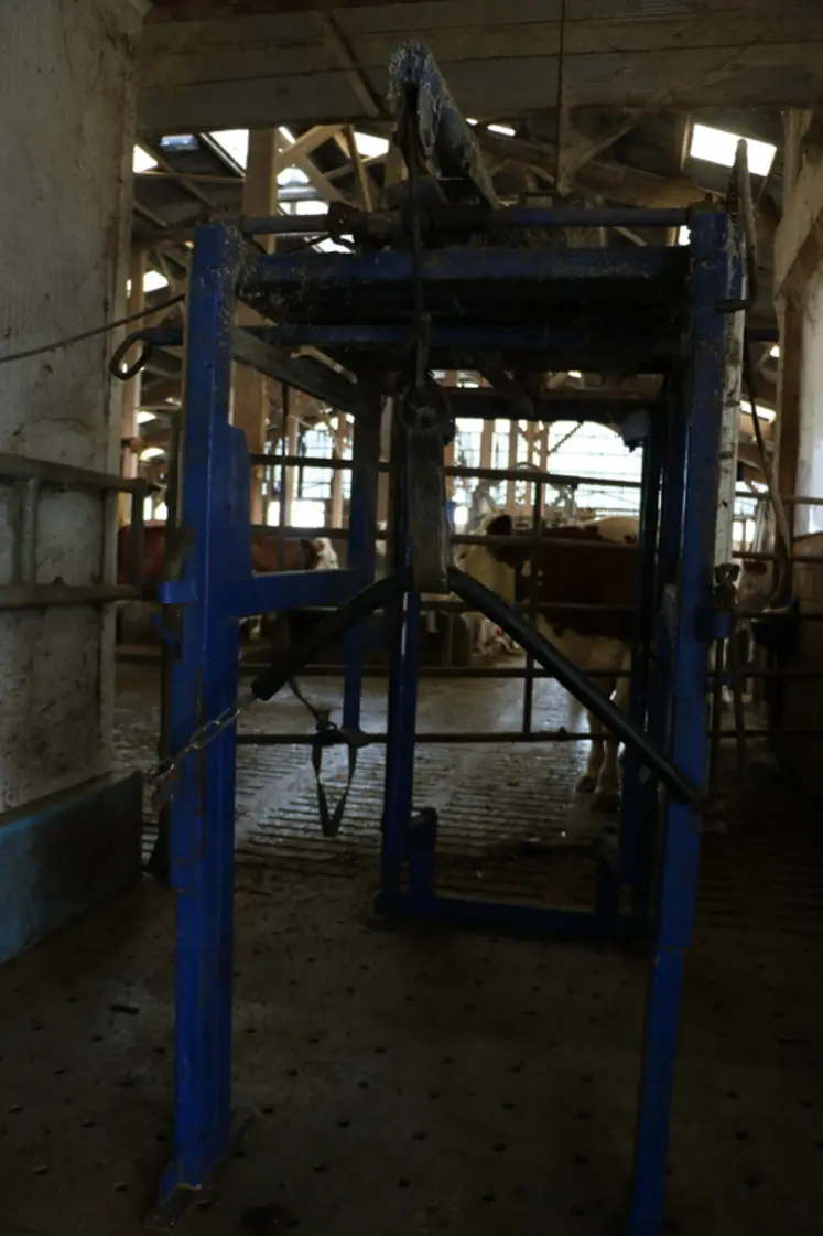 <em class="placeholder">cage de parage pour vache laitière</em>