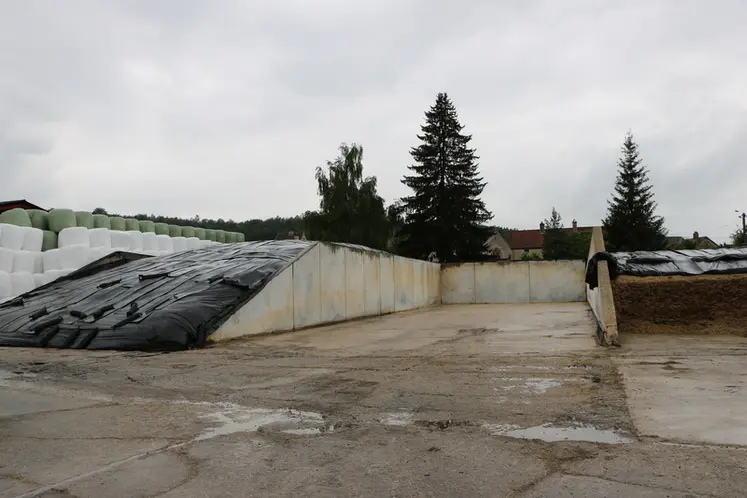 <em class="placeholder">enrubannage au fond, silo de maïs et d&#039;herbe au premier plan</em>