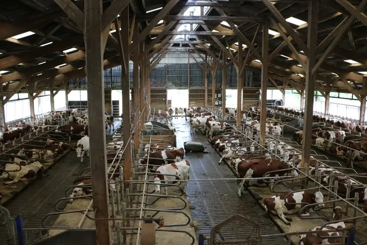 <em class="placeholder">stabulation des vaches laitières, sur caillebotis, avec logettes et farine de paille, et un robot racleur. </em>