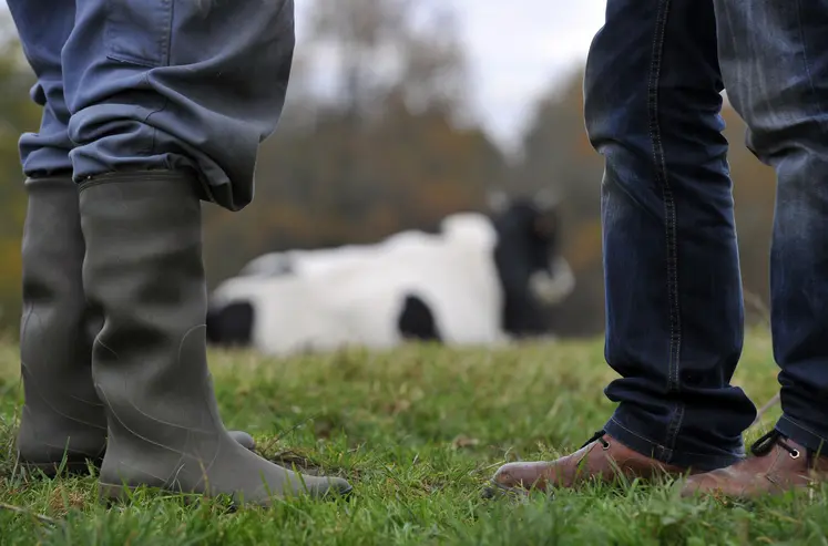 Relations entre éleveurs et industriels laitiers. Dossier de contractualisation. Producteur de lait et représentant de la laiterie. Discussion sur fond de vaches au pâturage. Différences. Tension dans la négociation. Attitude différente. Intérêts différents. Divergence de position. Désaccord sur le contrat.