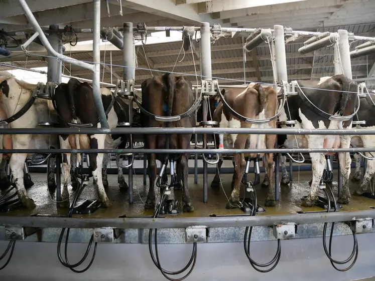 <em class="placeholder">vaches dans une salle de traite rotative en Nouvelle-Zélande</em>