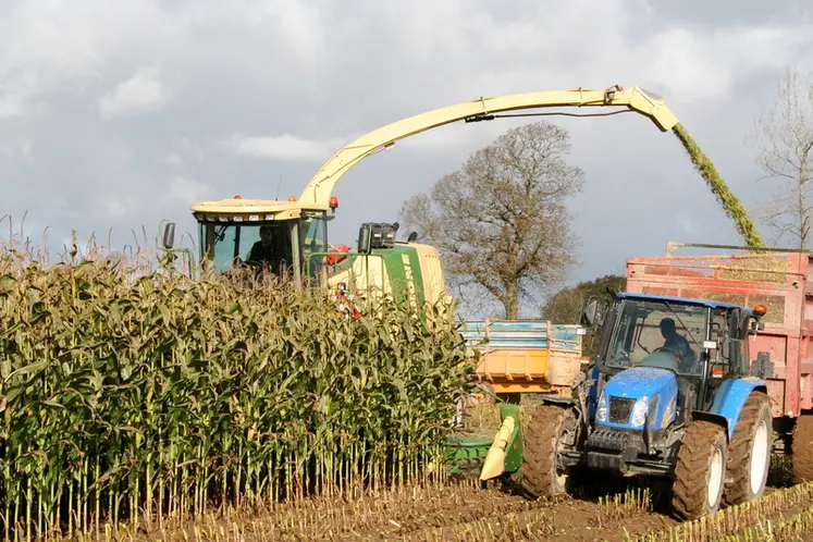 Chantier d'ensilage de maïs
