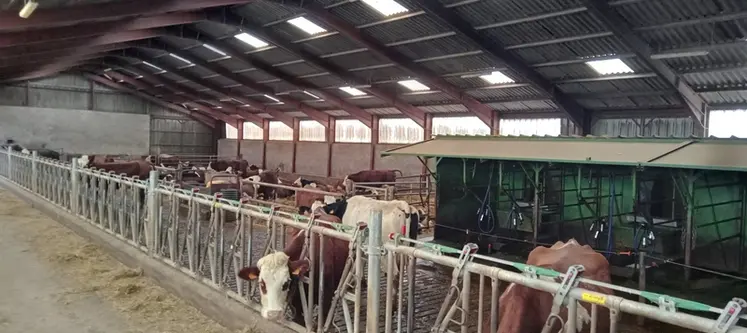 <em class="placeholder">stabulation de vaches laitières</em>