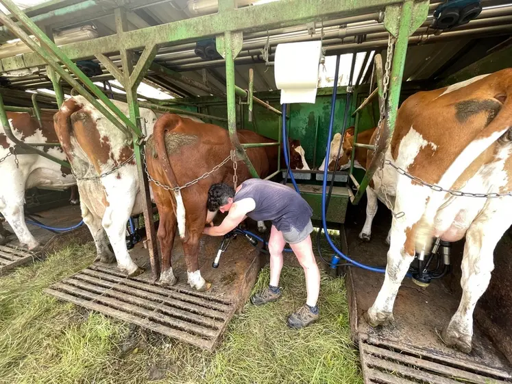 <em class="placeholder">traite de vaches en plain air</em>