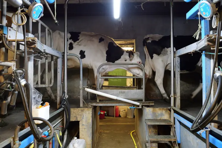 <em class="placeholder">vaches laitières en salle de traite</em>