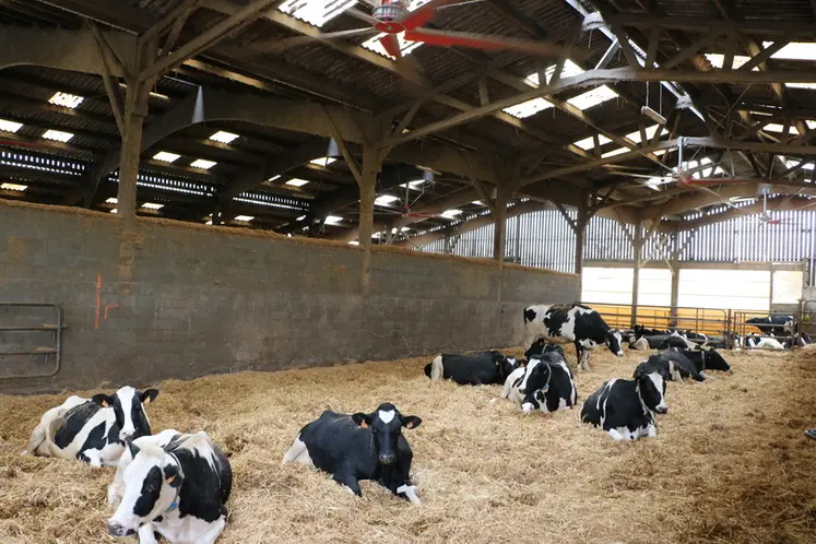 <em class="placeholder">Un bâtiment pour vaches taries sur aire paillée avec ventilateurs</em>