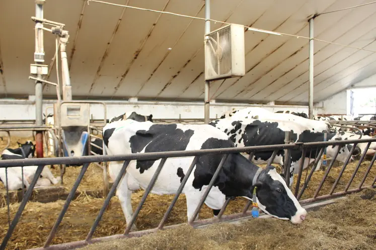 <em class="placeholder">bâtiment vaches laitières en Pologne</em>