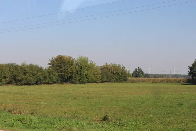 <em class="placeholder">Prairie en Pologne</em>