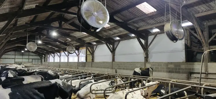 <em class="placeholder">nouvelle stabulation chez Dominique Lepage, éleveur à Torcé (35)</em>