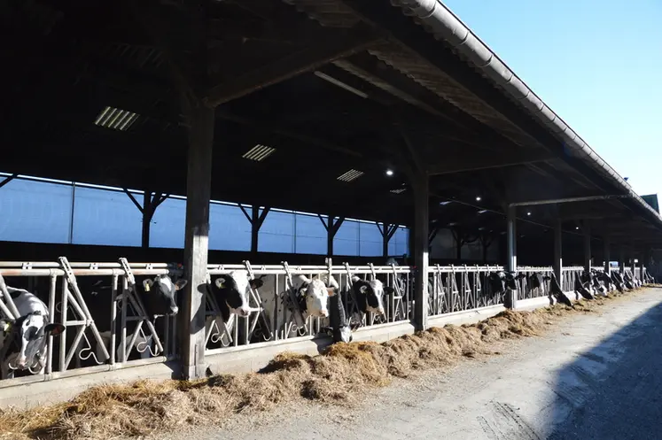 <em class="placeholder">« Le rideau s’ouvre du haut vers le bas. Cela donne la possibilité de laisser une ouverture en haut, pour la ventilation naturelle sans que l’air froid ne tombe ...</em>