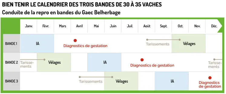 <em class="placeholder">GRAPHIQUE : Conduite de la repro en bandes du Gaec Belherbage</em>