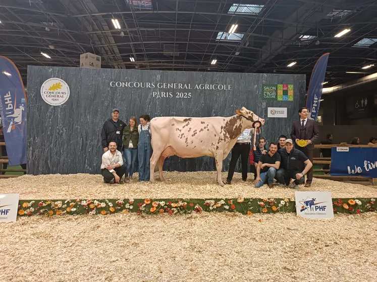 championne rouge prim'holstein sia 2025