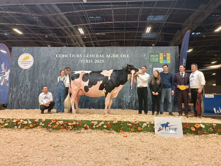 Grande championne prim'holstein sia 2025
