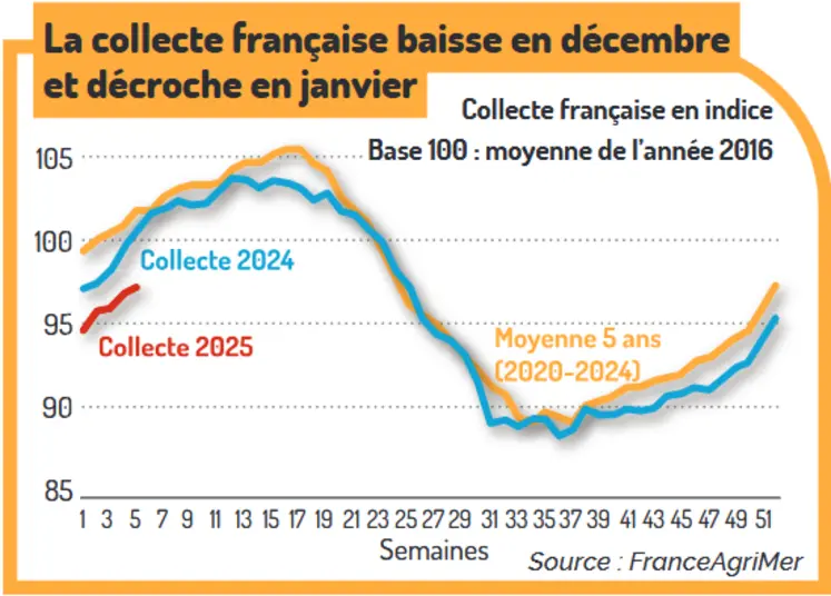 graphique sur l'évolution de la collecte de lait de vache française en 2024 et 2025