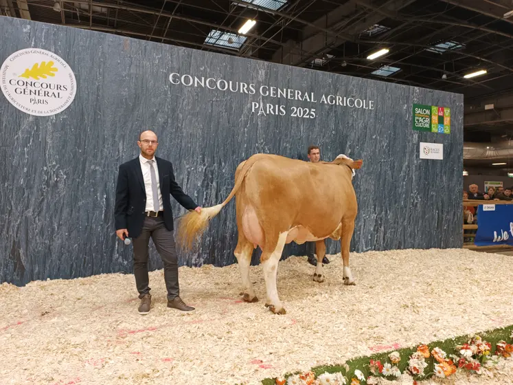mamelle adulte simmental SIA 2025
