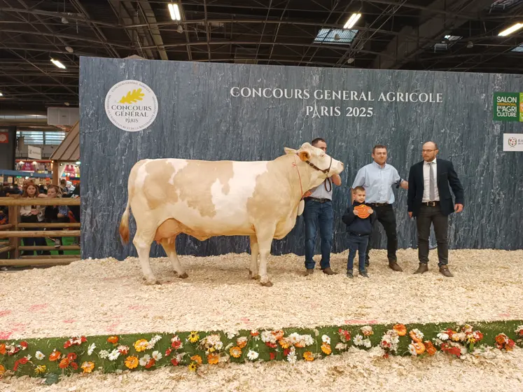 meilleure bouchère simmental SIA 2025