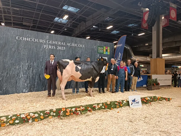 meilleure mamelle adulte sia 2025 prim'holstein