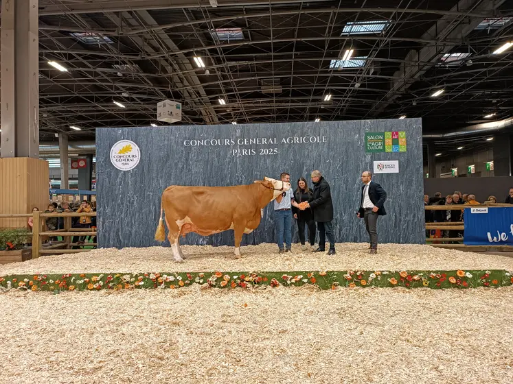 rappel de championnat simmental SIA 2025