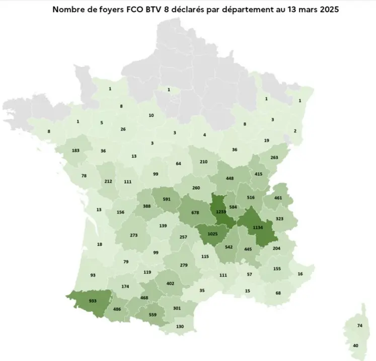 Carte de la répartition des foyers déclarés de FCO 8, en date du 13 mars 2025.
