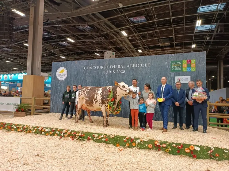 <em class="placeholder">grande championne normande SIA 2025</em>