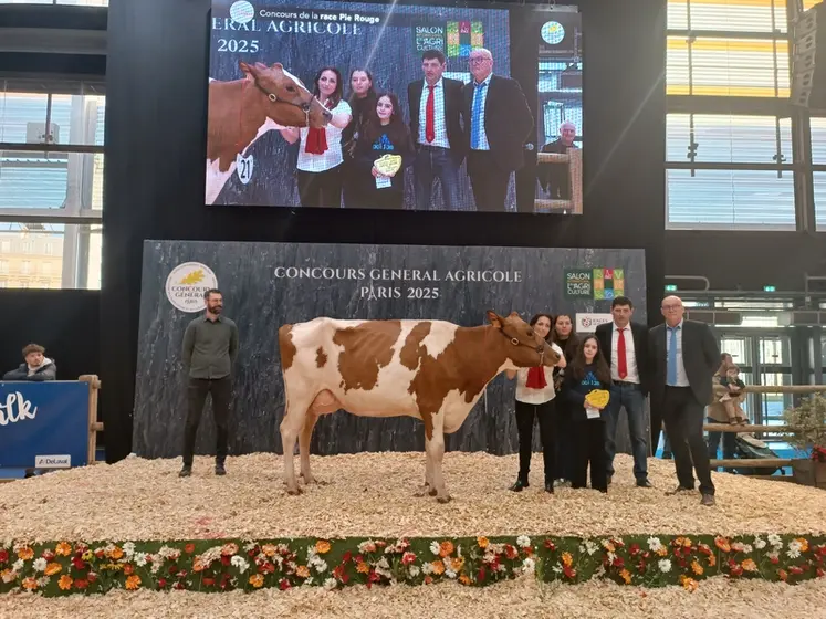 <em class="placeholder">grande championne pie rouge SIA 2025</em>