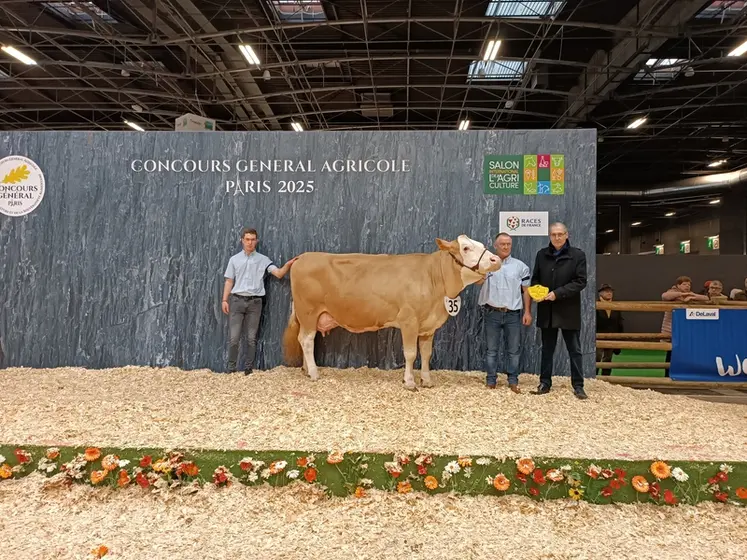 <em class="placeholder">championne adulte simmental SIA 2025</em>