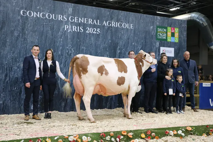 Championne et meilleure mamelle adulte : Pamela (Mauleon JB) du Gaec Millet Mickael et Caroline (39)