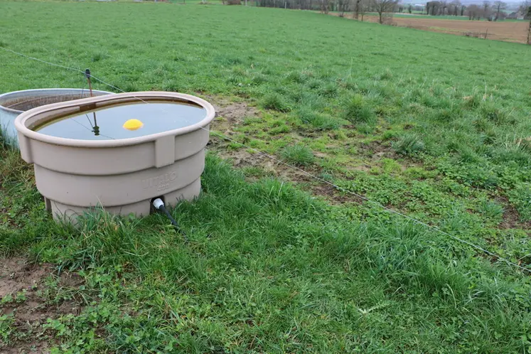 <em class="placeholder">abreuvoir ovale en plastique pour abreuver des vaches au pâturage</em>