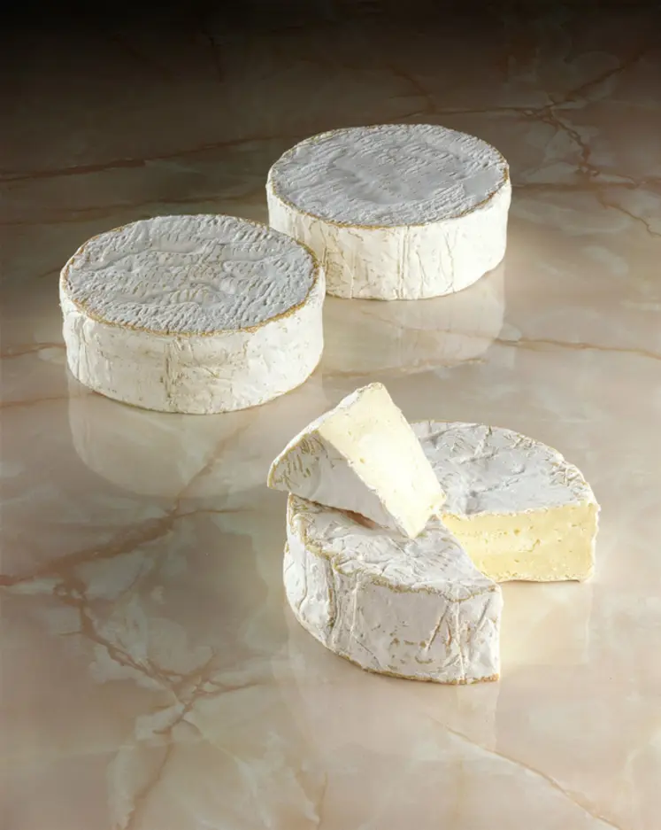 <em class="placeholder">produits laitiers / fromage / présentation de Camembert / AOC normande</em>